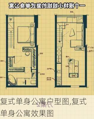 复式单身公寓户型图,复式单身公寓效果图