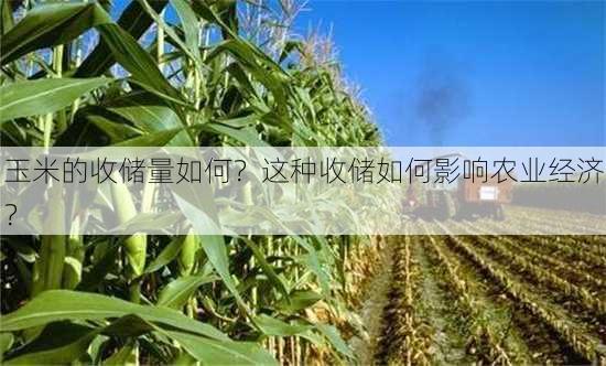 玉米的收储量如何？这种收储如何影响农业经济？