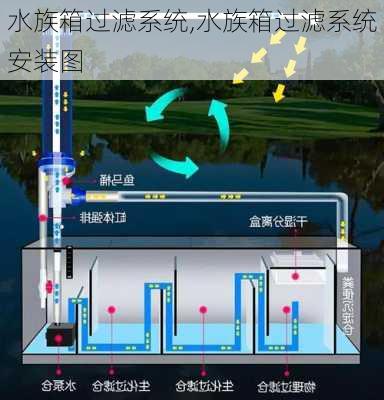 水族箱过滤系统,水族箱过滤系统安装图