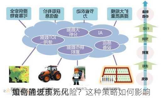 如何通过多元化
策略降低市场风险？这种策略如何影响
组合的表现？