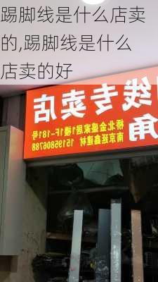 踢脚线是什么店卖的,踢脚线是什么店卖的好