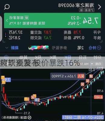 阿斯麦发布
疲软预警 股价暴跌16%