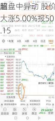 超
脑盘中异动 股价大涨5.00%报50.15
