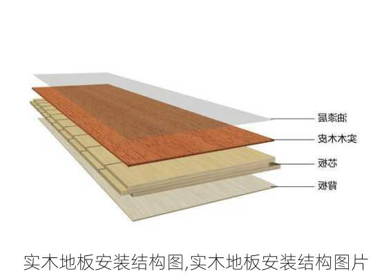 实木地板安装结构图,实木地板安装结构图片