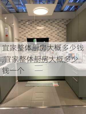 宜家整体厨房大概多少钱,宜家整体厨房大概多少钱一个