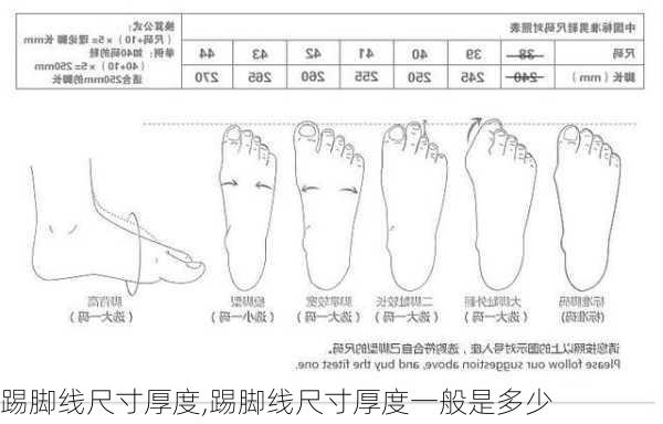 踢脚线尺寸厚度,踢脚线尺寸厚度一般是多少