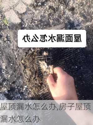 屋顶漏水怎么办,房子屋顶漏水怎么办