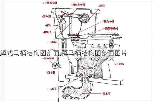 蹲式马桶结构图剖面,蹲马桶结构图剖面图片