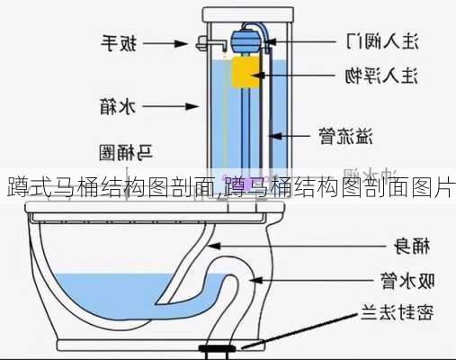 蹲式马桶结构图剖面,蹲马桶结构图剖面图片