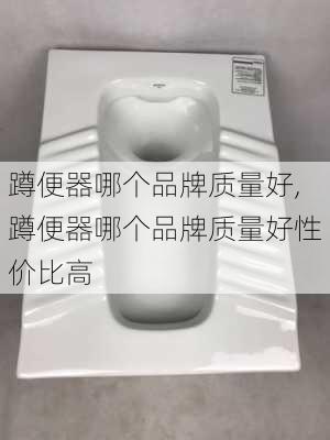 蹲便器哪个品牌质量好,蹲便器哪个品牌质量好性价比高