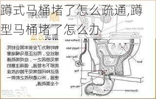 蹲式马桶堵了怎么疏通,蹲型马桶堵了怎么办