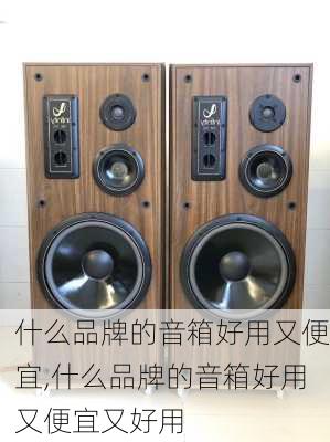 什么品牌的音箱好用又便宜,什么品牌的音箱好用又便宜又好用