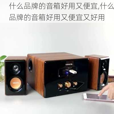 什么品牌的音箱好用又便宜,什么品牌的音箱好用又便宜又好用