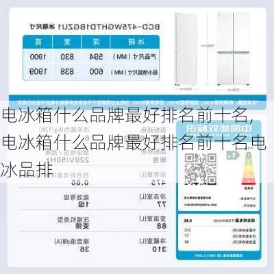 电冰箱什么品牌最好排名前十名,电冰箱什么品牌最好排名前十名电冰品排