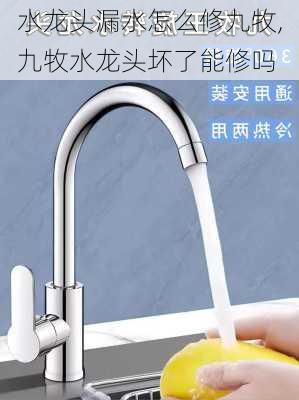 水龙头漏水怎么修九牧,九牧水龙头坏了能修吗