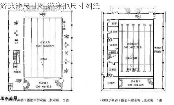 游泳池尺寸图,游泳池尺寸图纸