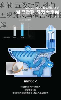 科勒 五级旋风,科勒五级旋风马桶盖拆卸图解