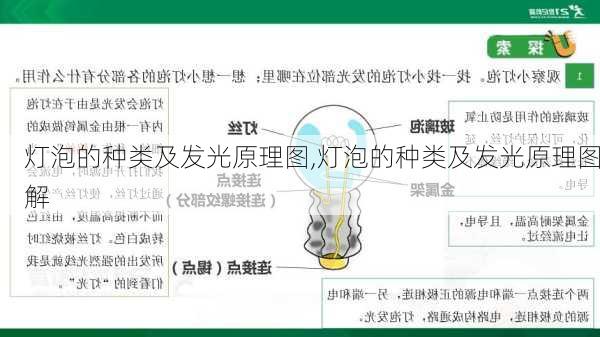 灯泡的种类及发光原理图,灯泡的种类及发光原理图解