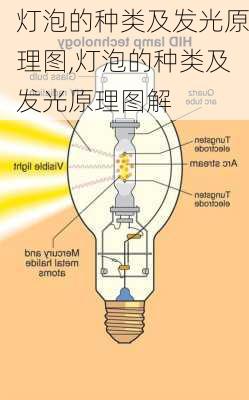 灯泡的种类及发光原理图,灯泡的种类及发光原理图解