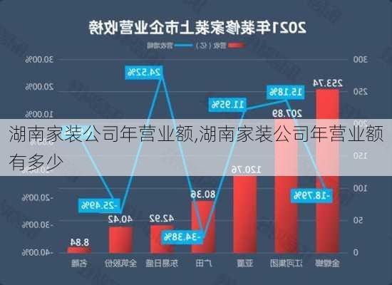 湖南家装公司年营业额,湖南家装公司年营业额有多少