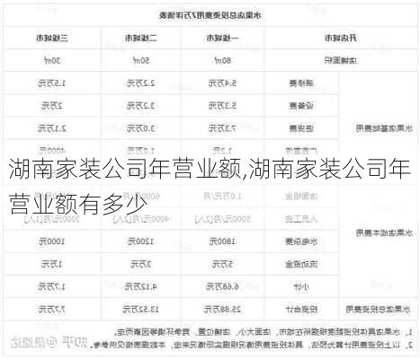 湖南家装公司年营业额,湖南家装公司年营业额有多少