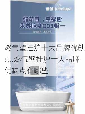 燃气壁挂炉十大品牌优缺点,燃气壁挂炉十大品牌优缺点有哪些