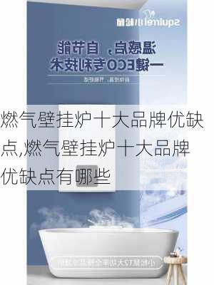 燃气壁挂炉十大品牌优缺点,燃气壁挂炉十大品牌优缺点有哪些