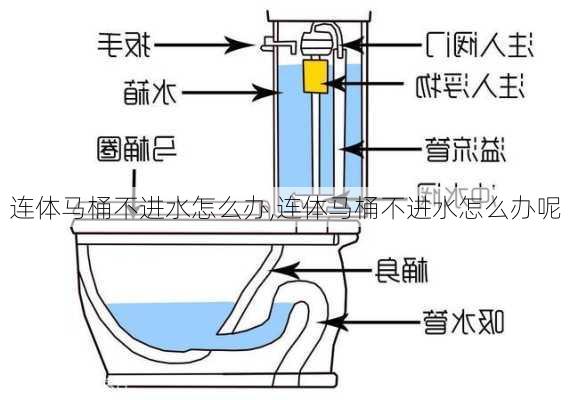 连体马桶不进水怎么办,连体马桶不进水怎么办呢